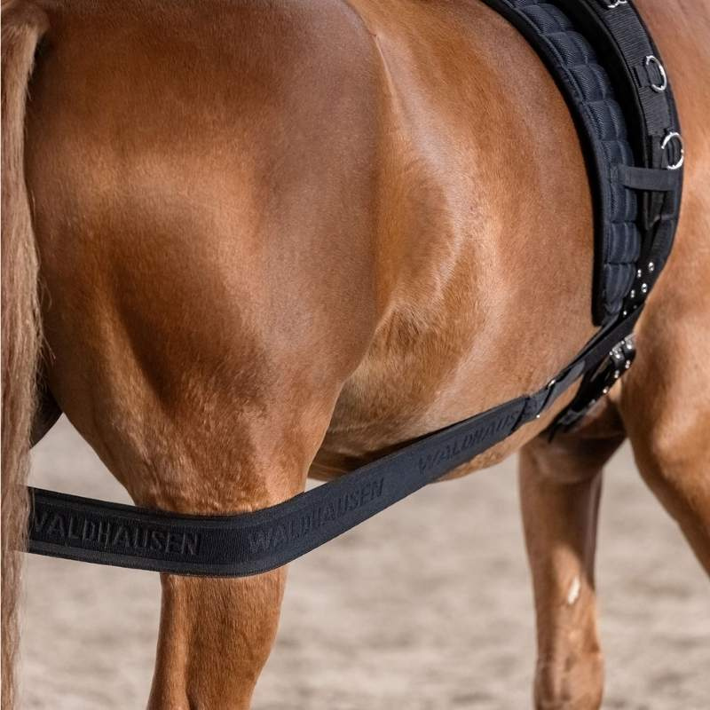 Body Bandage Elastic Svart Cob/Full