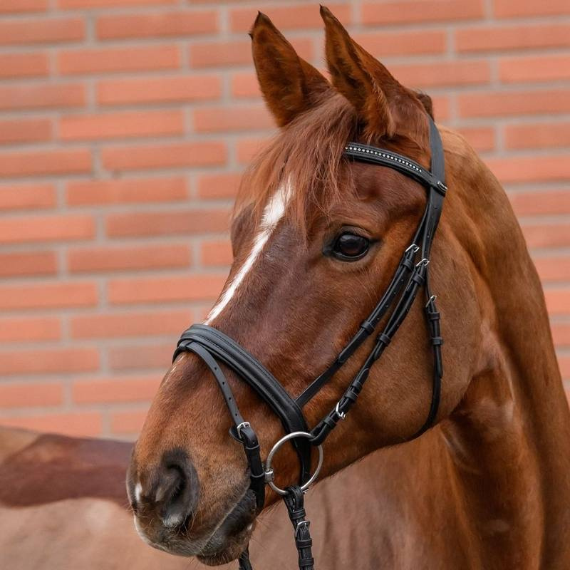 Hodelag Diamond Svart