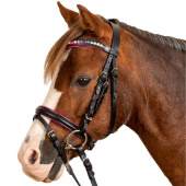 Hodelag Pinky Svart/Rosa Hodelag Pinky Svart/Rosa
