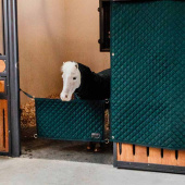 Boksstopp Mørkegrønn Boksstopp Mørkegrønn