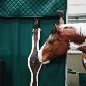 Boksgardin Waterproof Mørkegrønn Boksgardin Waterproof Mørkegrønn