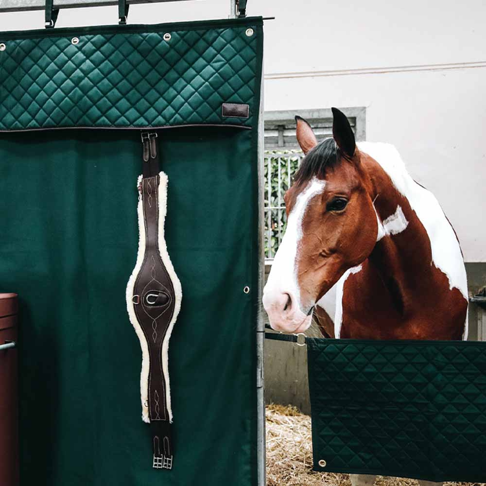 Boksgardin Waterproof Mørkegrønn