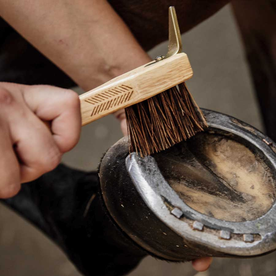 Hovskrape med børste Brun