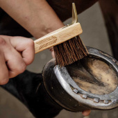 Hovskrape med børste Brun Hovskrape med børste Brun