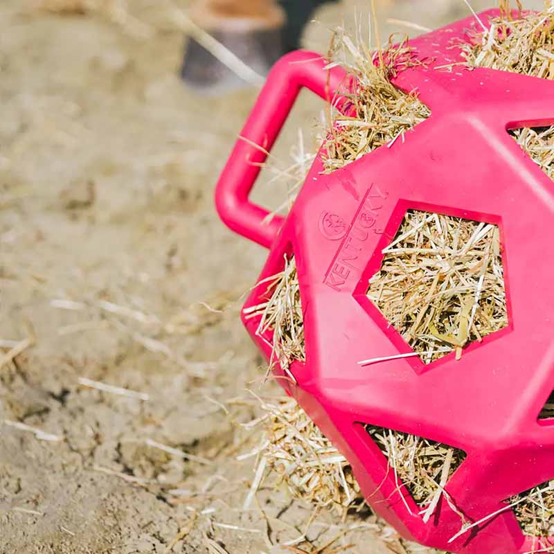 Høyball Relax Play & Hay Rosa