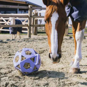 Høyball Relax Play & Hay Lilla Høyball Relax Play & Hay Lilla