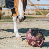 Høyball Relax Play & Hay Vinrød Høyball Relax Play & Hay Vinrød