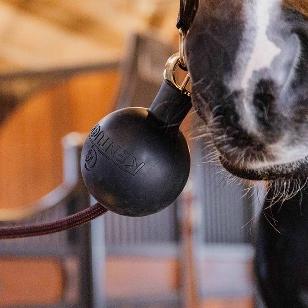 Gummiball Lead & Wall Protection Rubber Svart