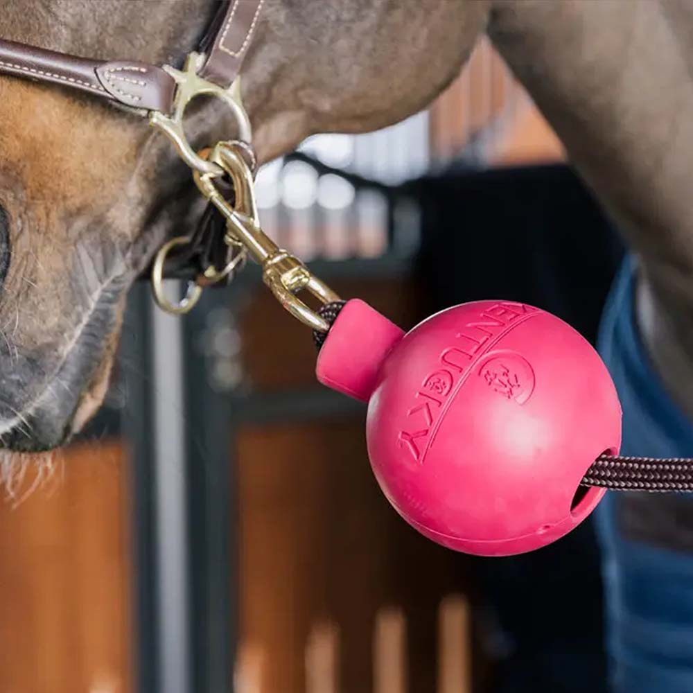 Gummiball Lead & Wall Protection Rubber Rosa