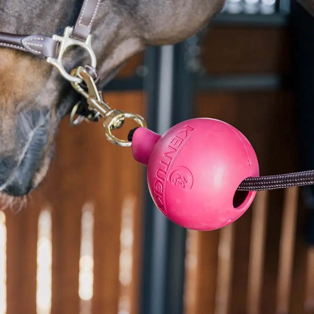 Gummiball Lead & Wall Protection Rubber Rosa