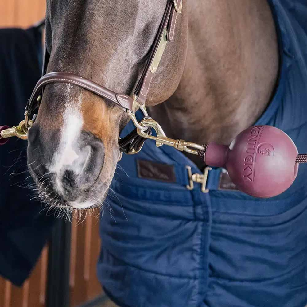 Gummiball Lead & Wall Protection Rubber Vinrød