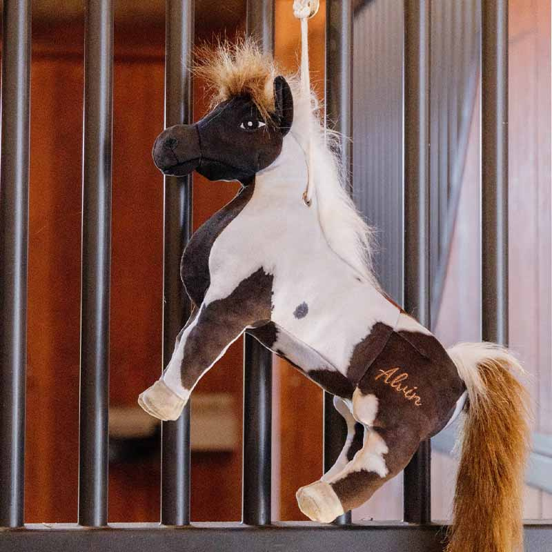 Hesteleke Relax Alvin