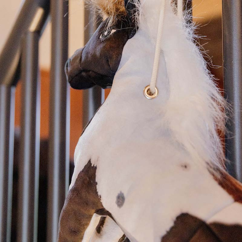 Hesteleke Relax Alvin