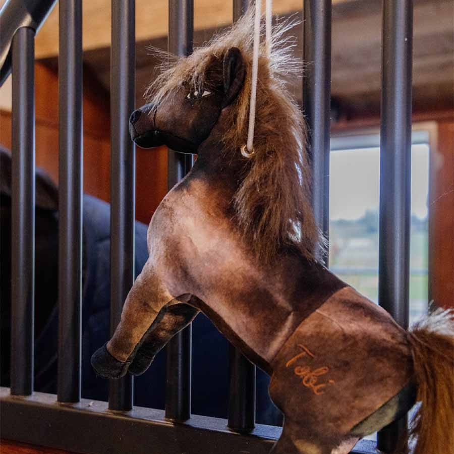 Hesteleke Relax Tableux