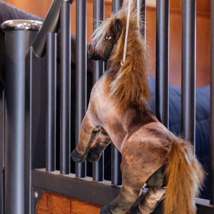 Hesteleke Relax Tableux