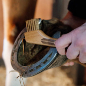 Hovskrape Metall Bust Hovskrape Metall Bust