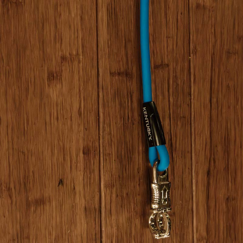 Bindetau Box Lead & Cross Silicone Blå