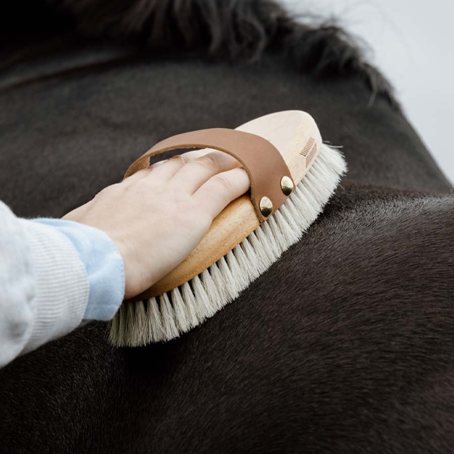 Børste Overall Shine