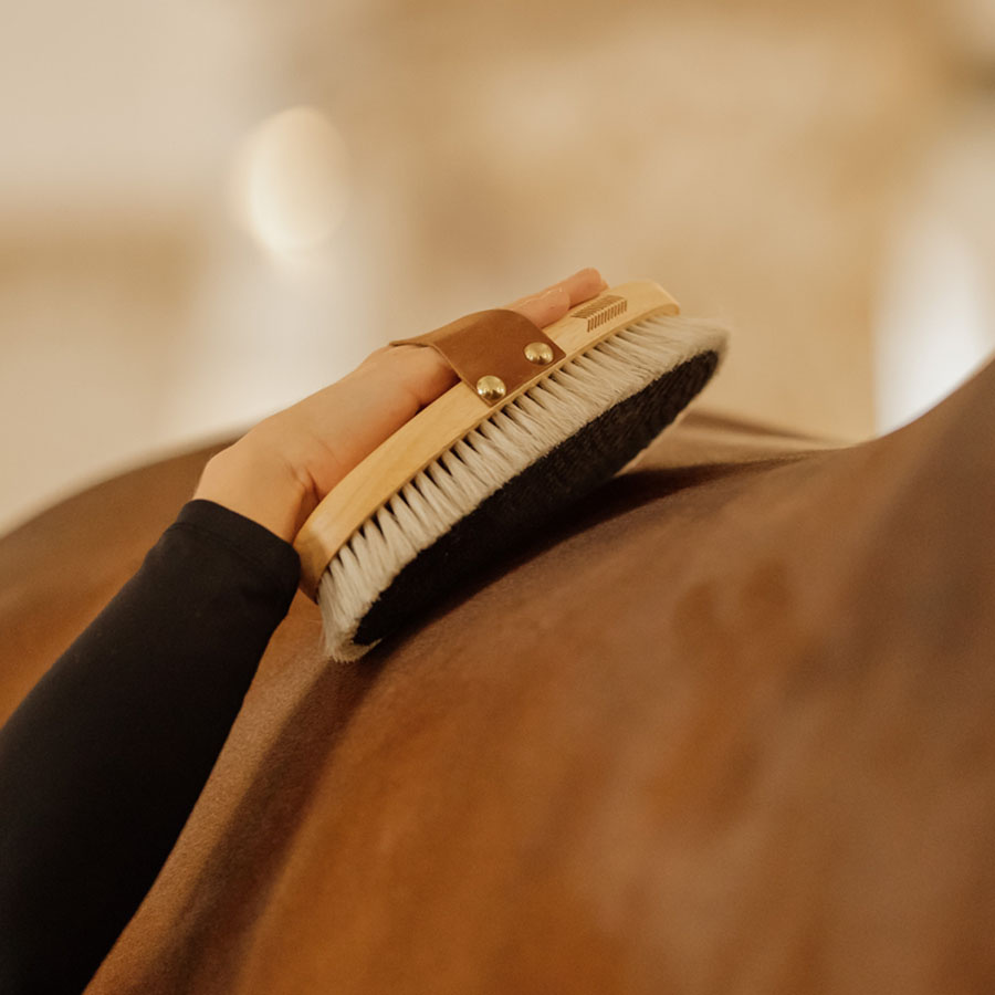 Børste Overall Shine