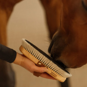 Børste Overall Shine Børste Overall Shine