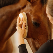 Børste Overall Soft Shine Børste Overall Soft Shine