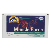 Muscle Force Muscle Force