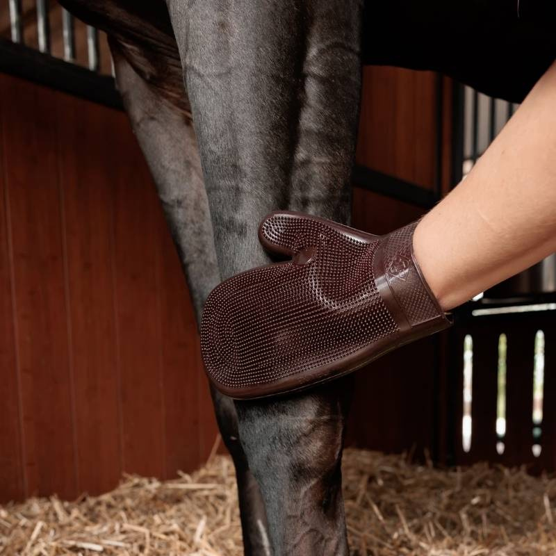 Groominghanske Rubber Brun