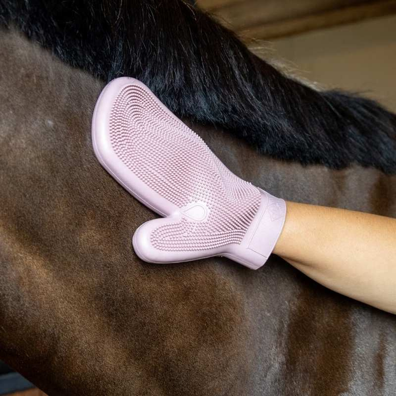 Groominghanske Rubber Rosa