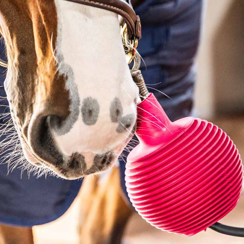 Gummiball Lead & Wall Protection Rubber Pro Rosa