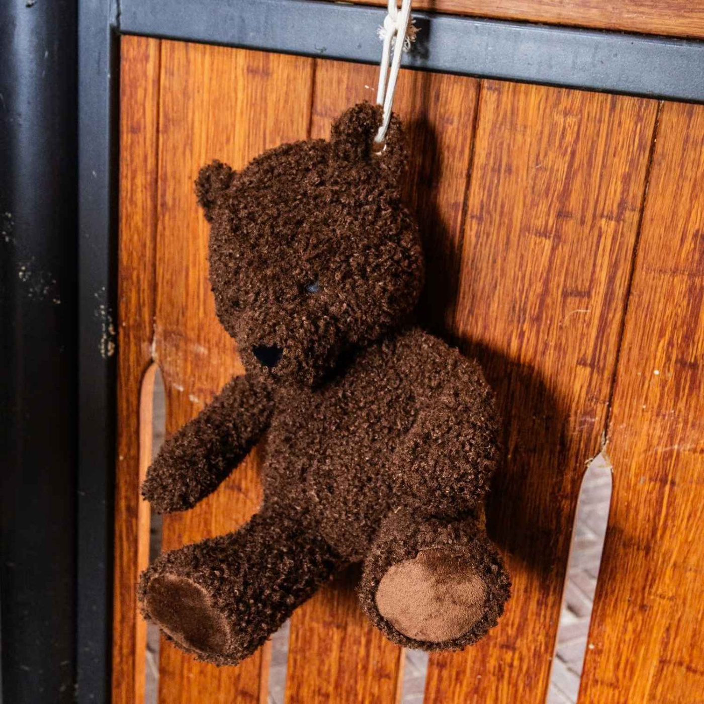 Hesteleke Relax Bear Brun