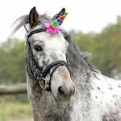 Enhjørningshorn Rainbow Enhjørningshorn Rainbow