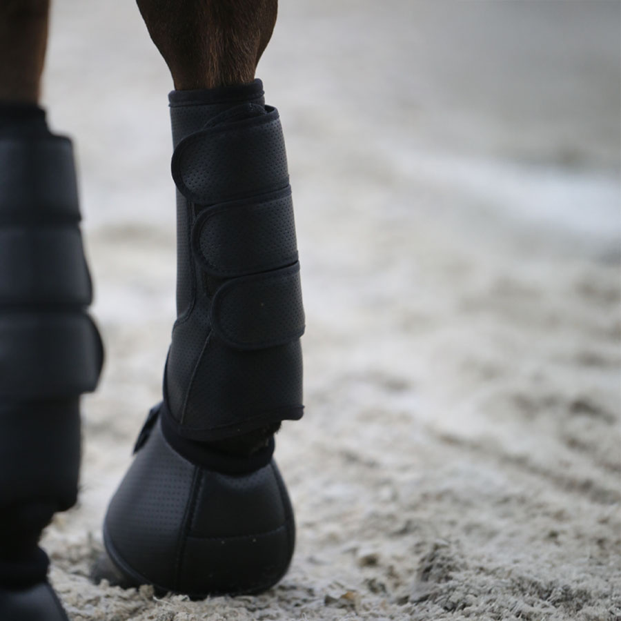 beskyttere Eventing Air Tech Front Svart
