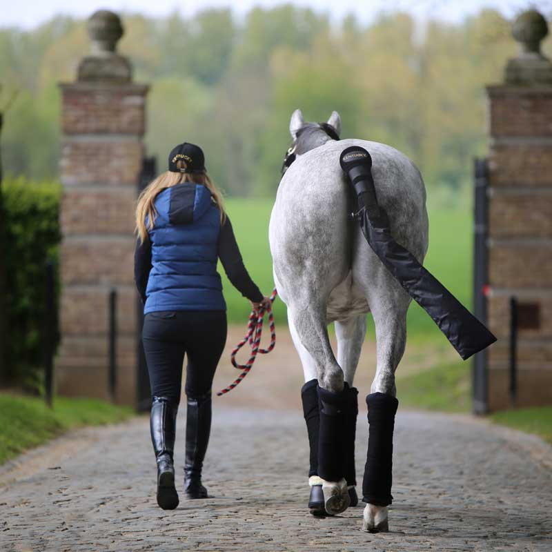 Halebeskytter med pose Svart