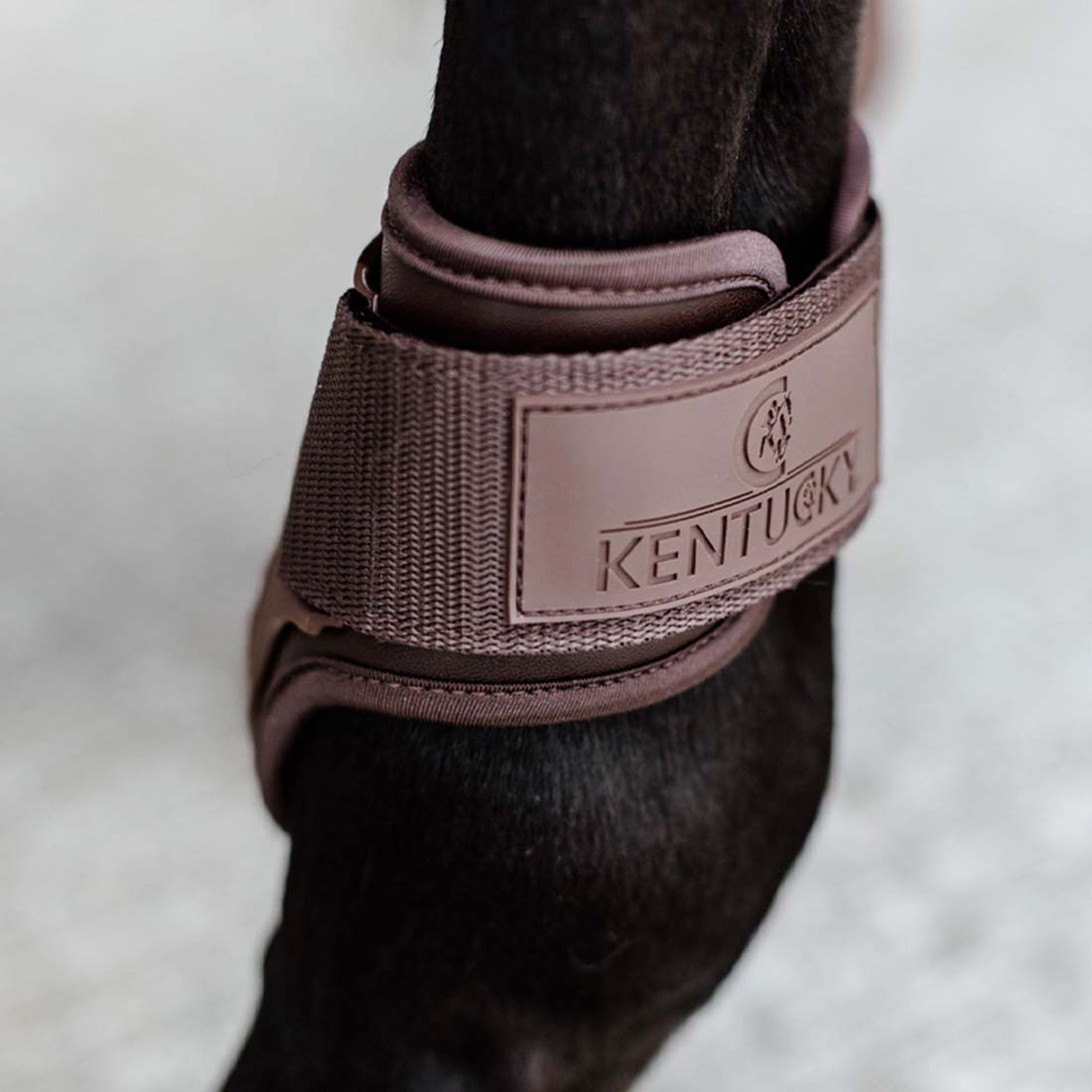 Unghestbeskyttere Shield Brun