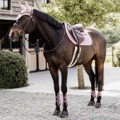 Unghestbeskyttere Shield Rosa Unghestbeskyttere Shield Rosa