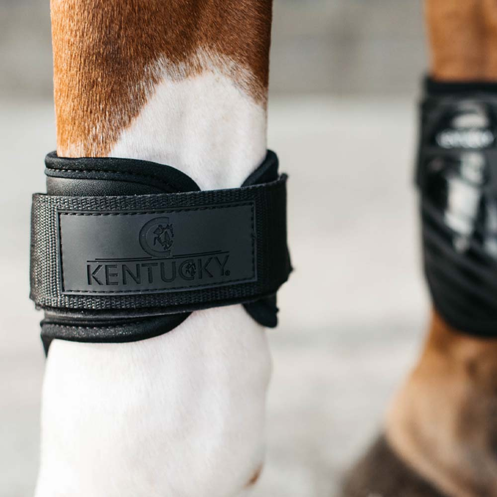 Unghestbeskyttere Shield Svart