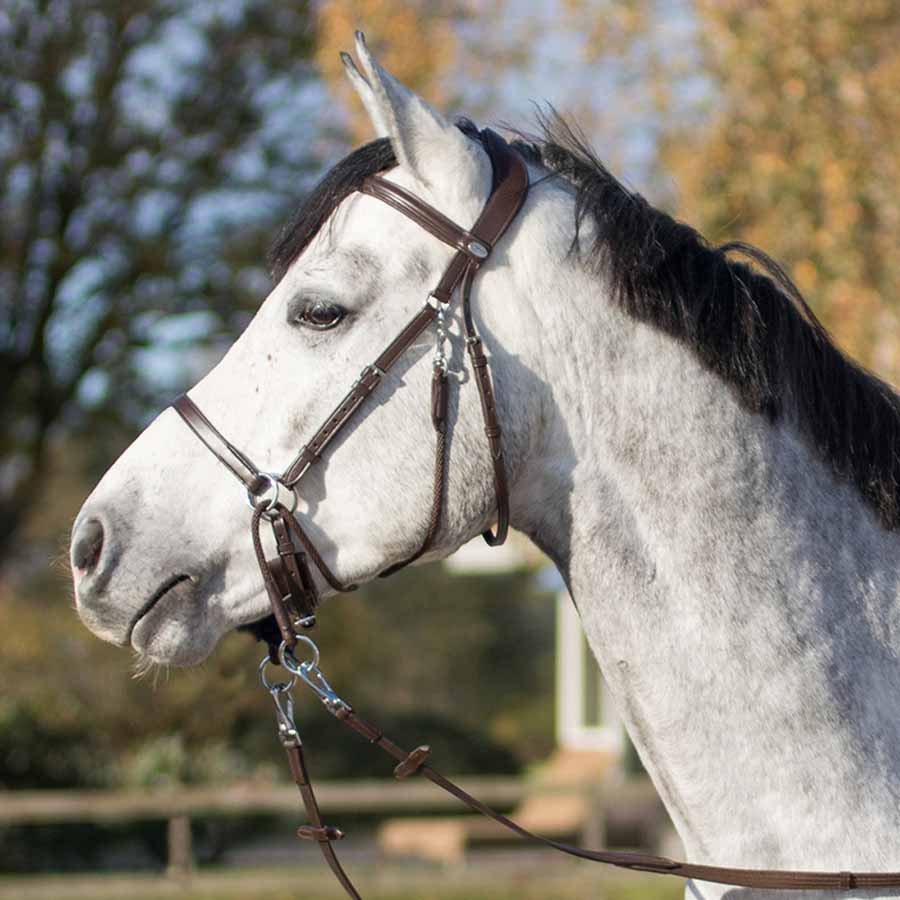 Bittløst hodelag Ceto Brun