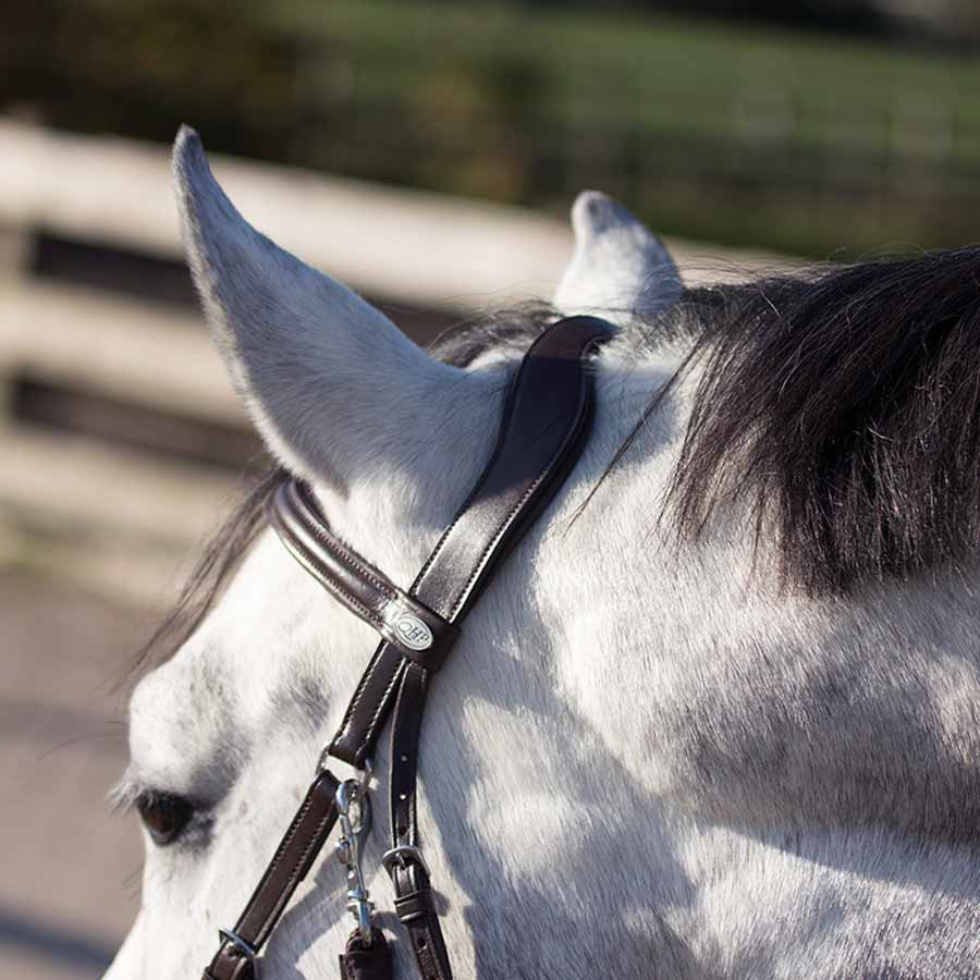 Bittløst hodelag Ceto Brun