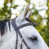Bittløst hodelag Ceto Brun Bittløst hodelag Ceto Brun