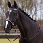 Bittløst hodelag Sunna Brun Bittløst hodelag Sunna Brun