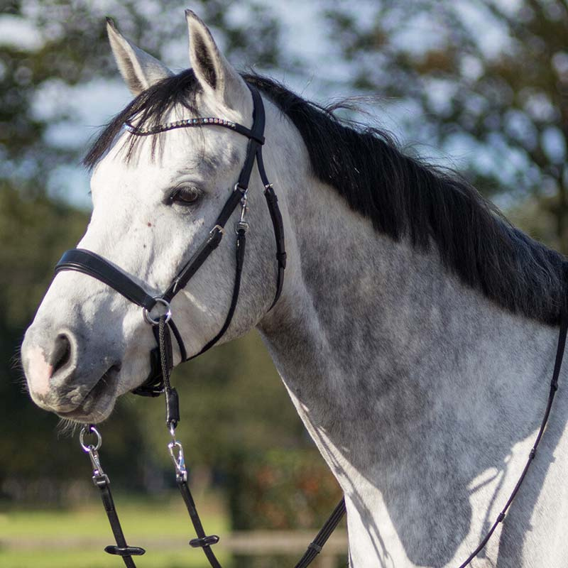 Bittløst hodelag Sunna Svart