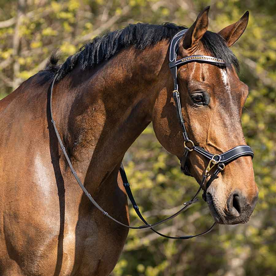 Bittløst Hodelag Anatomical Svart