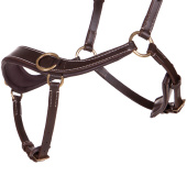 Bittløst Hodelag Anatomical Brun Bittløst Hodelag Anatomical Brun
