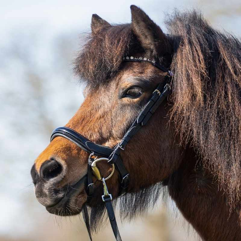 Hodelag Fjara Icelandic Svart