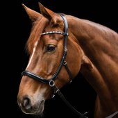 Bittløst Hodelag Sensation X-Line Svart Bittløst Hodelag Sensation X-Line Svart