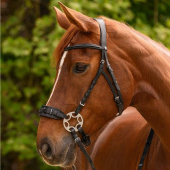 Hackamorehodelag Sensitive X-Line Svart Hackamorehodelag Sensitive X-Line Svart