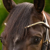 Pannereim Shine X-Line Brun/Toffee Pannereim Shine X-Line Brun/Toffee