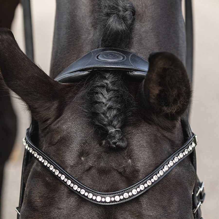 Anatomisk Dressurhodelag Comfort Fit Double Anatomical med tøyler Svart