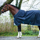 Vinterdekken Amigo Bravo 12 100g Marineblå Vinterdekken Amigo Bravo 12 100g Marineblå