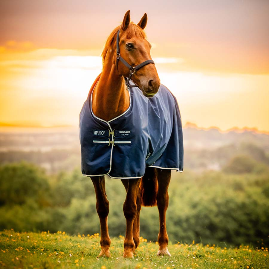 Regndekken Amigo Ripstop 900D Fleece Lined 50g Witney Navy